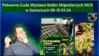 Potworne Cuda  Wystawa Roślin Mięsożernych  MCK w Katowicach 09-10 03.24