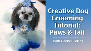 Paws & Tail Creative Dog Grooming - OPAWZ Pet Hair Dyes Tutorial