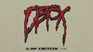 Detox (Official Visualizer)