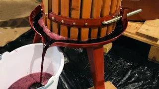 Home Winemaking From Grapes - Red Grape Wine and White Grape Wine - Demonstration and Tips