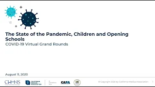 Virtual Grand Rounds: State of the Pandemic, Children and Opening Schools