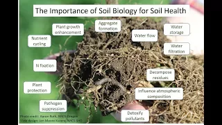 Biological Indicators of Soil Health