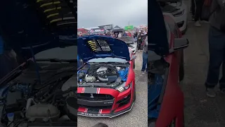 Shelby GT500 Insane Supercharger Whine! 🏎️