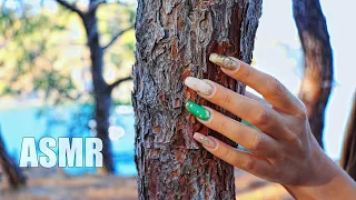 ASMR TRIGGERS in the FOREST for SLEEP | АСМР в ЛЕСУ 100% МУРАШКИ Звуки дерева