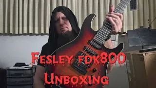 fesley fdk800 guitar unboxing!