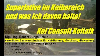 Koi Consult Koitalk #491 Superlativen im Koibereich und was ich davon halte