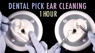ASMR 1 Hour of Ear Cleaning w/Dental Pick & Tweezers + Latex Gloves (No Talking)