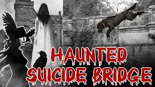 Haunted Tales of Overtoun Bridge: Exploring the Dog Suicide Phenomenon