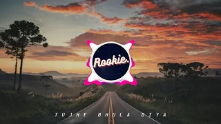 TUJHE BHULA DIYA [SLOWED]