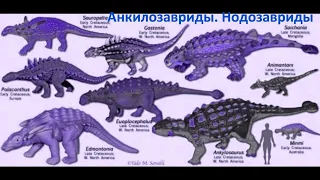 Анкилозавр и его родственники. Все виды