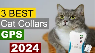 Top 3 Best Cat Collars With GPS For 2024 | Top Cat Dog Collars You Can Buy In 2024