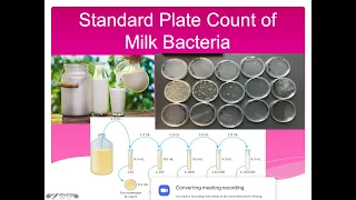 Standard Plate Count of Milk Bacteria Lab