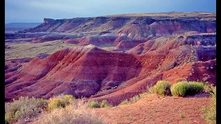 THE STORY OF THE IRISH IN ARIZONA