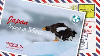 Tropical Birding Virtual Birding Tour of Japan in Winter by Charley Hesse
