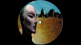 Skunk Anansie - Twisted (Blue Amazon's DMC Remix) (1996)