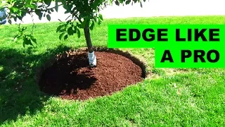 How to edge and mulch around a tree