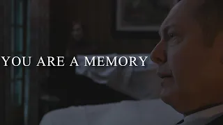 You Are A Memory || Multifandom (Tribute)