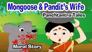 Mongoose vs Snake I Moral Stories In English I Panchtantra Story I Fairy Tales I Bedtime Stories