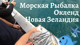 Морская Рыбалка, Окленд, Новая Зеландия/Fishing in New Zealand