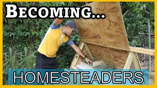 We are Becoming Homesteaders | How to Build a Backyard Chicken Coop | DIY Chicken Coop on a BUDGET!