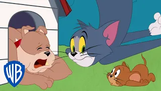Tom & Jerry | Getting Rid of the Bad Tooth | WB Kids