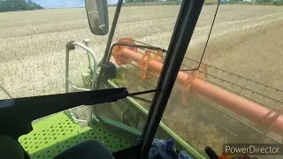 Agro Vlog 2# | pohlad šoféra kombajnu Claas Lexion 580 | mlatba repky