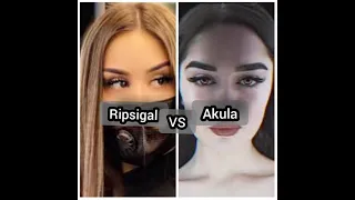 ripsigal 🐺 VS Akula 🦈.                          commentaires : 1 ripsigal. 2 akula