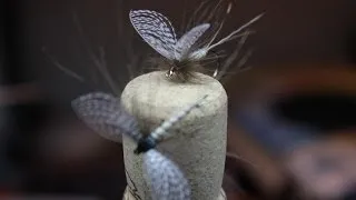 Mayfly with wally wing (dry fly)