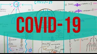 COVID-19 // Коронавирусная инфекция: Эпидемиология и Патогенез