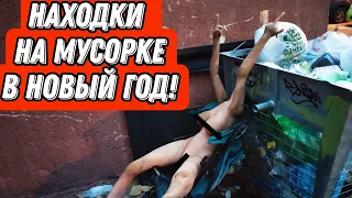 Что можно найти на мусорках Санкт-Петербурга в Новый год? Находки на мусорке!