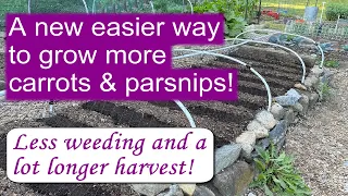 Multi Sowing Carrots-- A new incredibly simple way to a bigger harvest!
