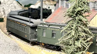 Beautiful narrow gauge steam models!