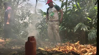 Azando pollo en aldea de Santa Cruz Barillas. Parte 1