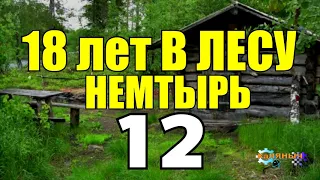 18 ЛЕТ В ТАЙГЕ | СТАРОВЕРЫ И ПЧЕЛОВОДСТВО | НАПАДЕНИЕ МЕДВЕДЯ НА ЧЕЛОВЕКА | ВЫЖИТЬ В ЛЕСУ 12