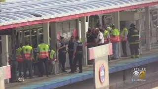Red Line Temporarily Halted After Woman Hit By Train