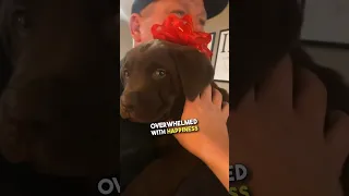 Dad surprised with a chocolate lab ❤️😭