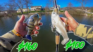 Fishing GIANT EXPENSIVE SWIMBAITS For BIG Pond Bass!