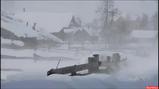 Арсений Тарковский "ЗИМНЕЕ"(Пес дворовый с улицы глядит в окошко