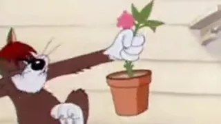 Tom and Jerry Classic Episode 9  Sufferin' Cats