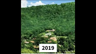 In Brazil, a couple planted 2 millions trees in 20 Years to recreate a forest 👌👏👏