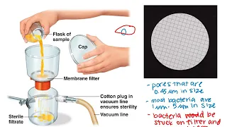 Lab 8-12 and 8-13: Water Sample Testing