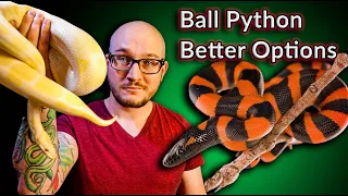 DO NOT Get A Ball Python! These Snakes Are Better | Top 5 SURPRISING Ball Python Alternatives