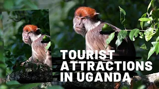 #travel #tourist #Africa Tourist attractions in Uganda Africa