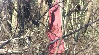 RAW VIDEO: Tornado Destruction in Century, FL