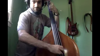 Ain't Nothing Like The Real Thing Upright Bass