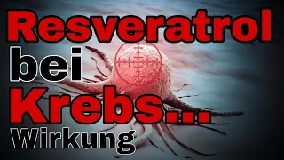 Resveratrol bei Krebs - Wirkung & Anwendung