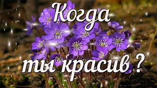 🌺КРАСОТА ДУШИ. Стих с глубоким смыслом.🌺