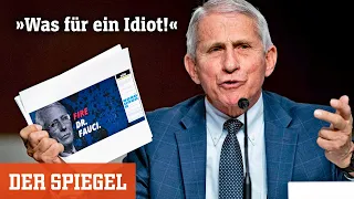 Anthony Fauci über US-Senator: »Was für ein Idiot, Herrgott noch mal!« | DER SPIEGEL