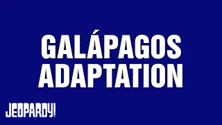 Galápagos Adaptation | Category | JEOPARDY!