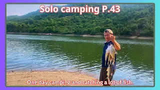 Solo camping - P.43 - | camped and caught a lot of fish on the big lake | VinhSon TV